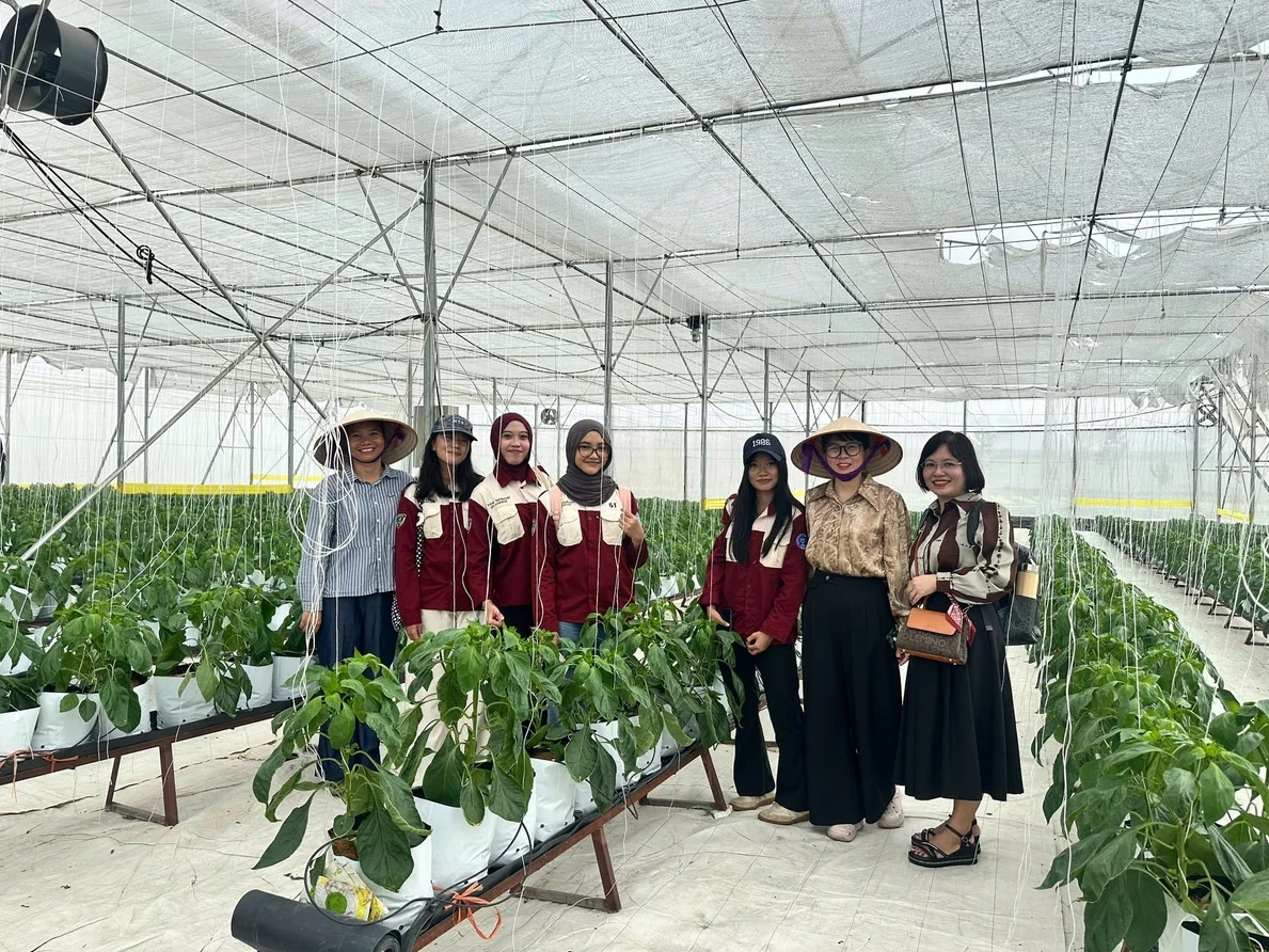 Indonesian students explore Viet Nam’s vegetable value chain

